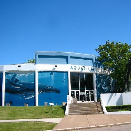 Falls Retreat - Walk To The Falls, The Casino And All Downtown Restaurants - Across From The Aquarium نياغارا فالس، نيويورك المظهر الخارجي الصورة