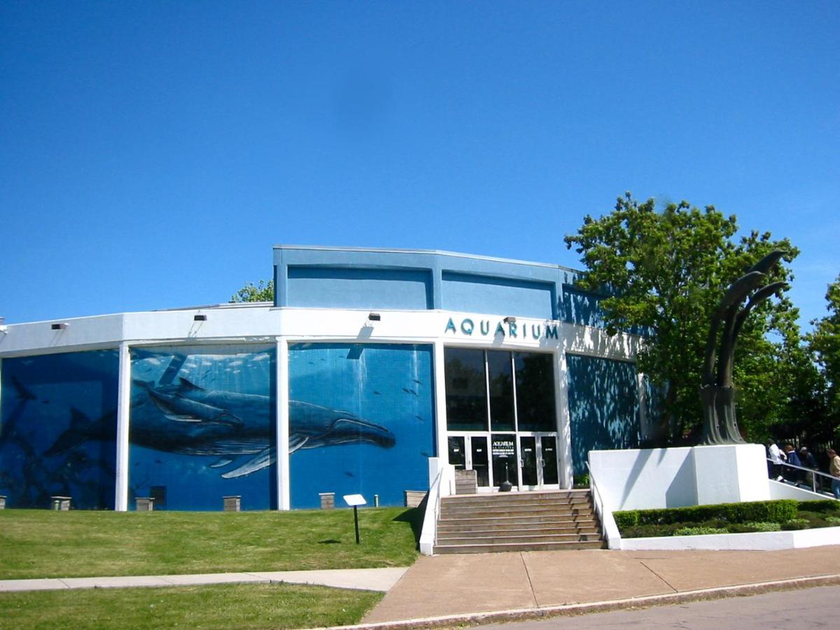 Falls Retreat - Walk To The Falls, The Casino And All Downtown Restaurants - Across From The Aquarium نياغارا فالس، نيويورك المظهر الخارجي الصورة